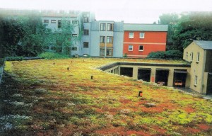 Extensive green roof over parking garage in Germany- Xeroflor